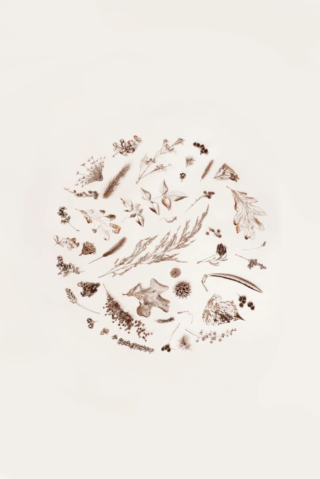 《子夜归》孔雪儿官配是谁 孔雪儿是反派吗？